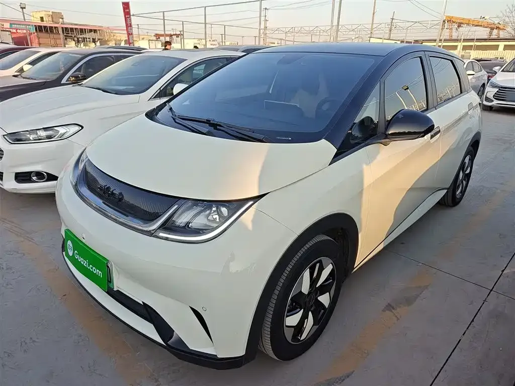 BYD Dolphin 2024 из CN, фото 1