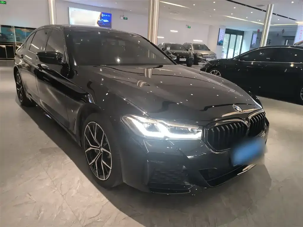 BMW 5 Series 2021 из CN, фото 6