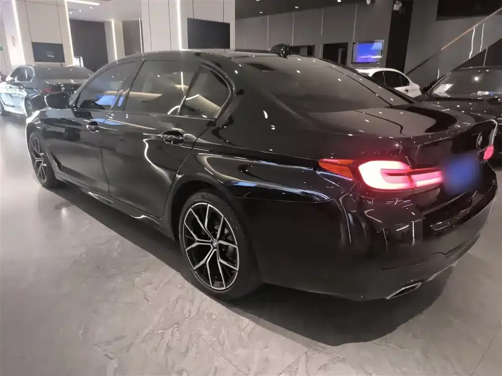 BMW 5 Series 2021 из CN, фото 3