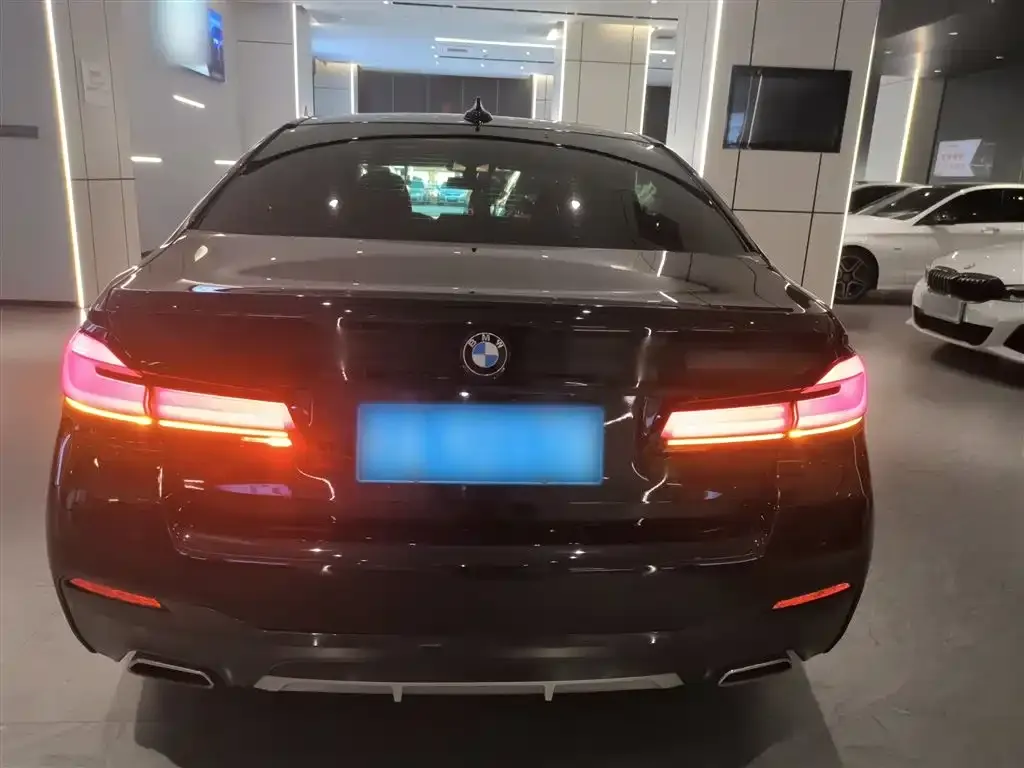 BMW 5 Series 2021 из CN, фото 7