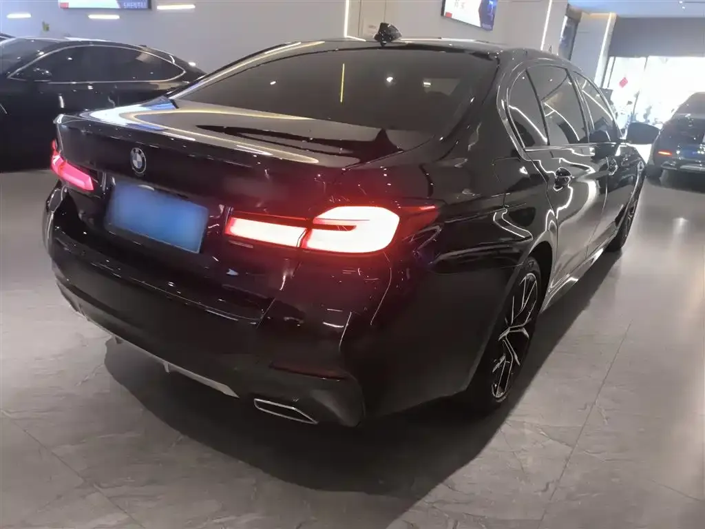 BMW 5 Series 2021 из CN, фото 9