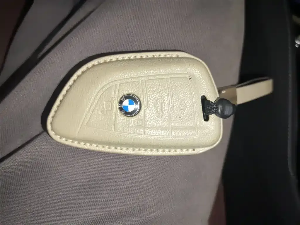 BMW 5 Series 2021 из CN, фото 10