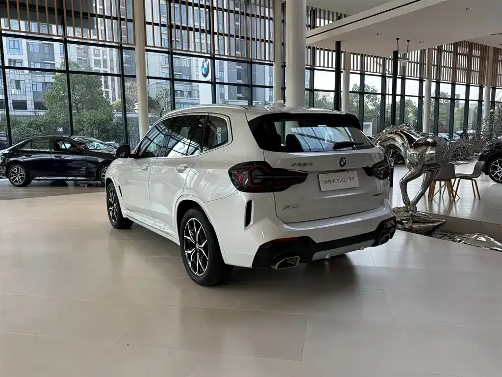 BMW X3 2024 из CN, фото 7