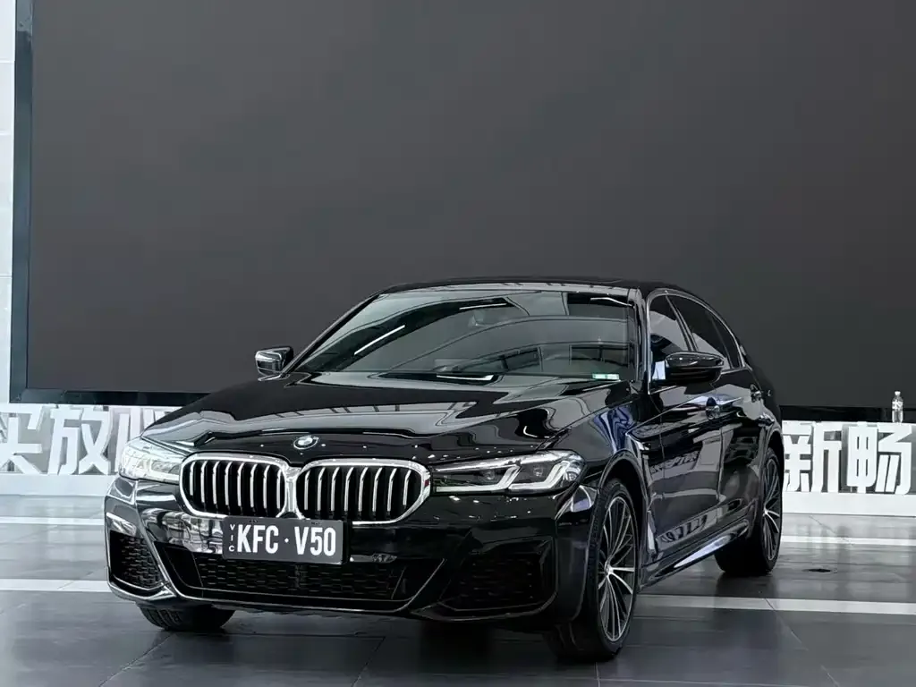 BMW 5 Series 2021 из CN, фото 1