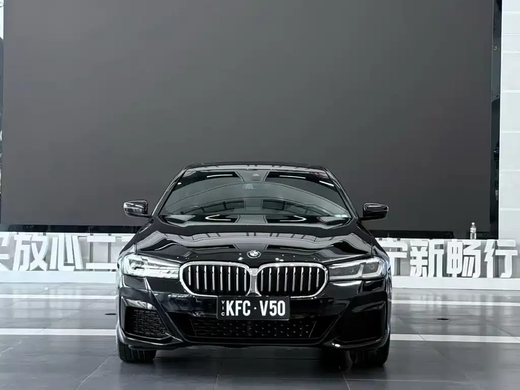 BMW 5 Series 2021 из CN, фото 4