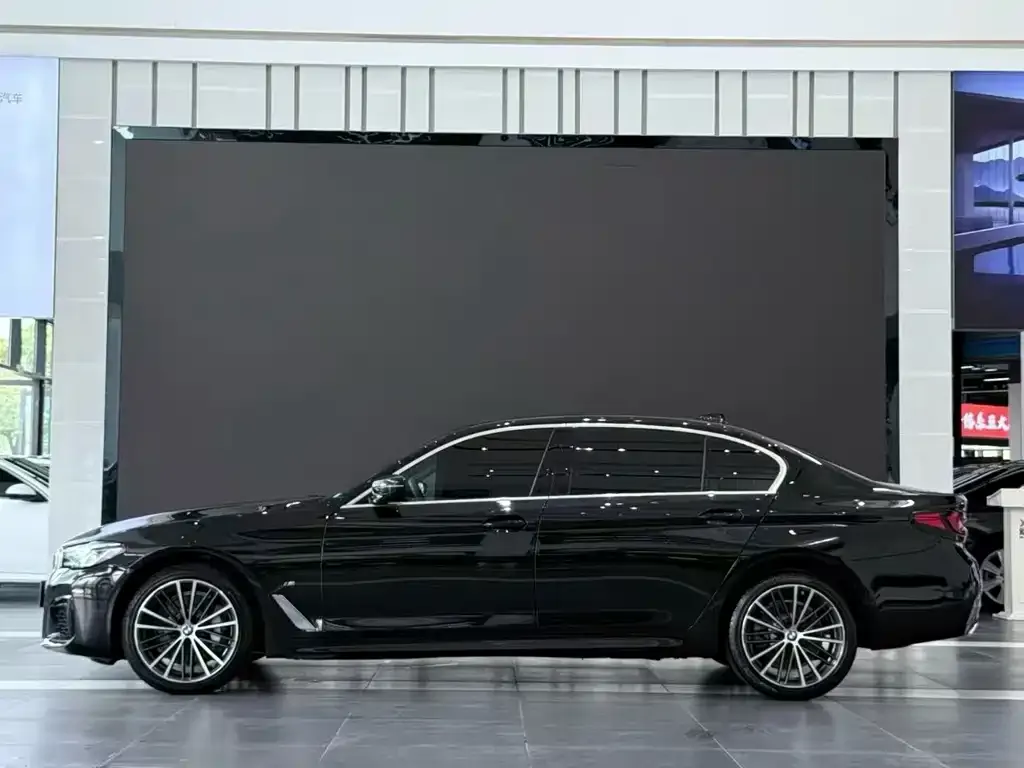 BMW 5 Series 2021 из CN, фото 3