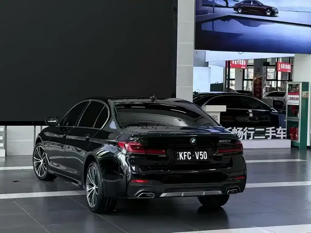 BMW 5 Series 2021 из CN, фото 6