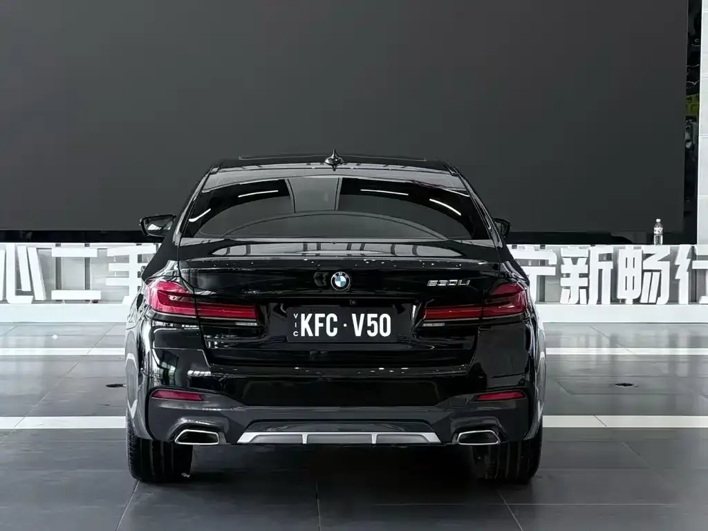 BMW 5 Series 2021 из CN, фото 2