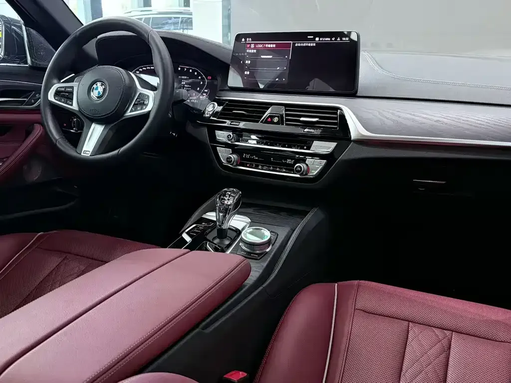 BMW 5 Series 2021 из CN, фото 9