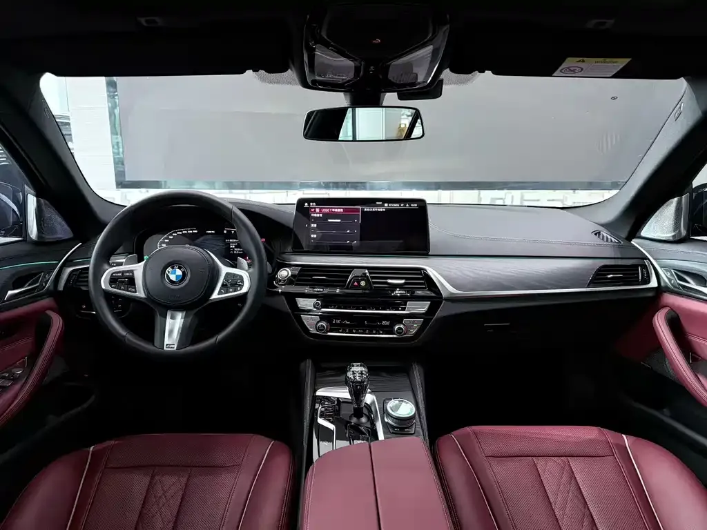 BMW 5 Series 2021 из CN, фото 7