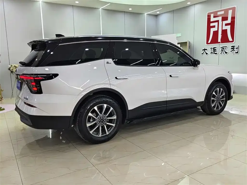 Ford Edge 2024 из CN, фото 7