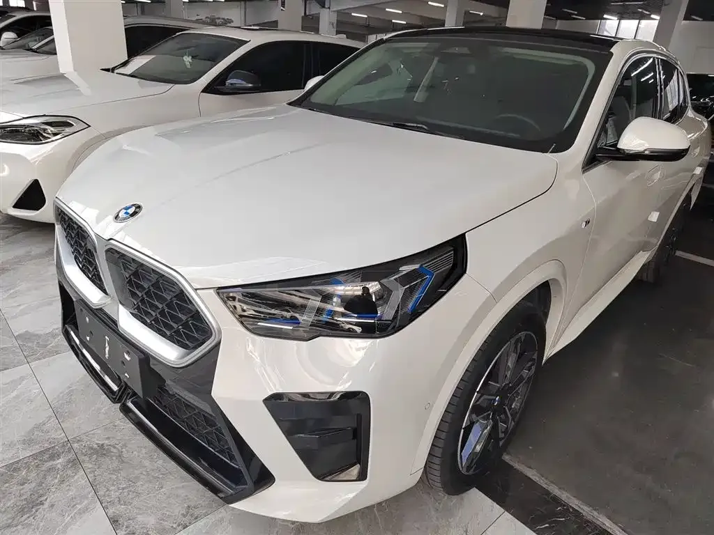 BMW X2 (Import) 2024 из CN, фото 1