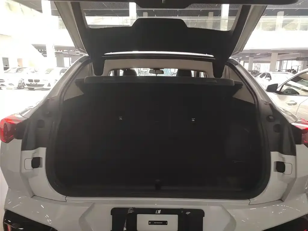 BMW X2 (Import) 2024 из CN, фото 4