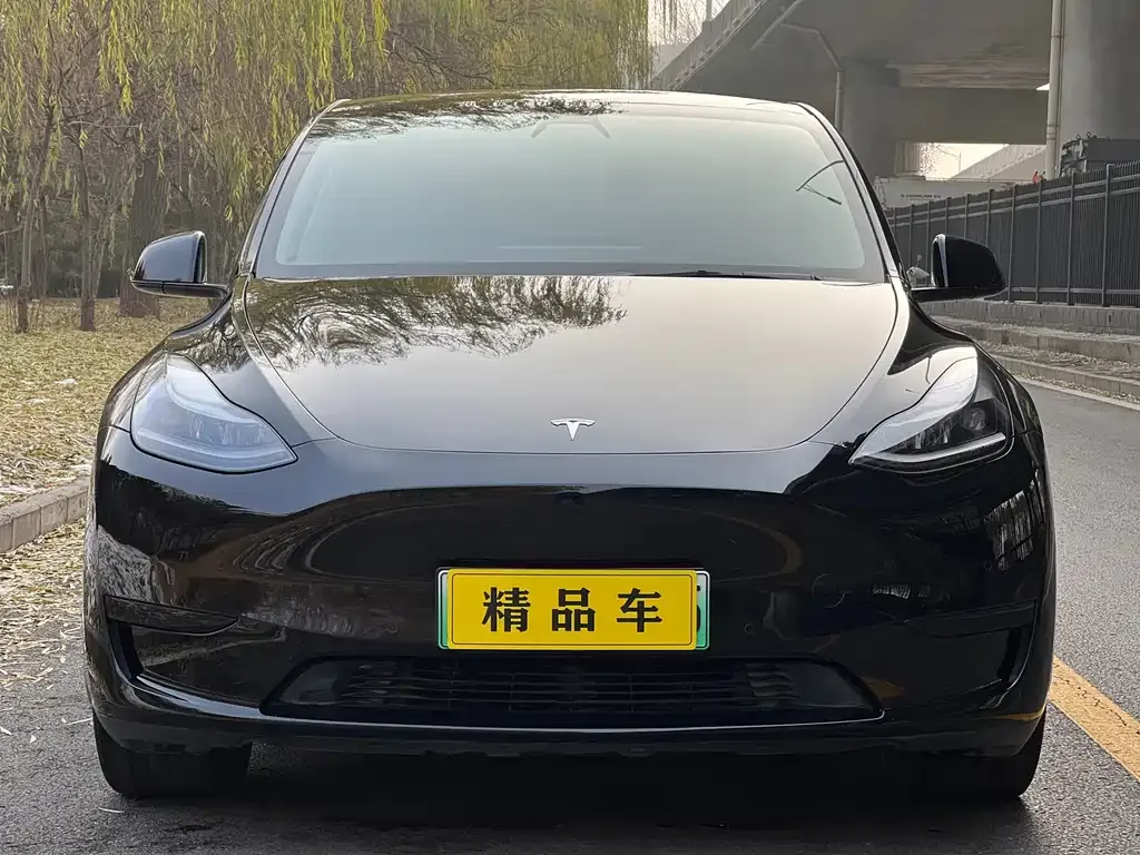 Tesla Model Y — фото 7