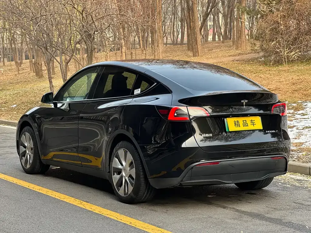 Tesla Model Y — фото 10