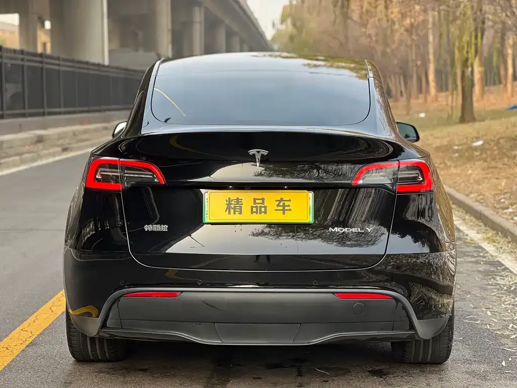 Tesla Model Y — фото 3