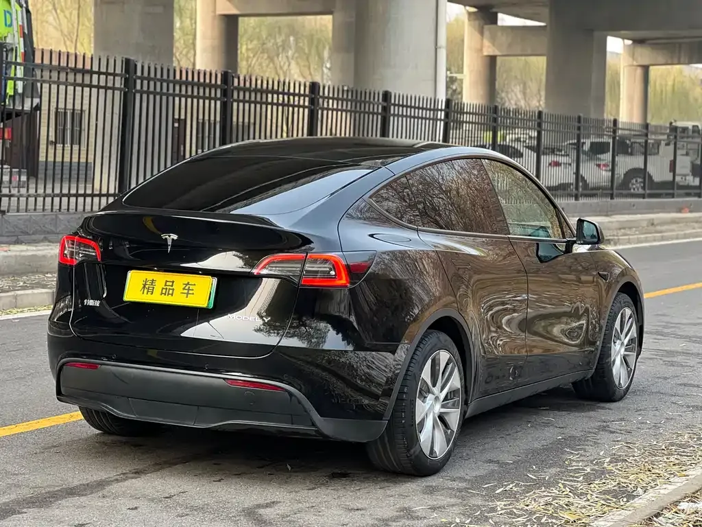 Tesla Model Y — фото 6