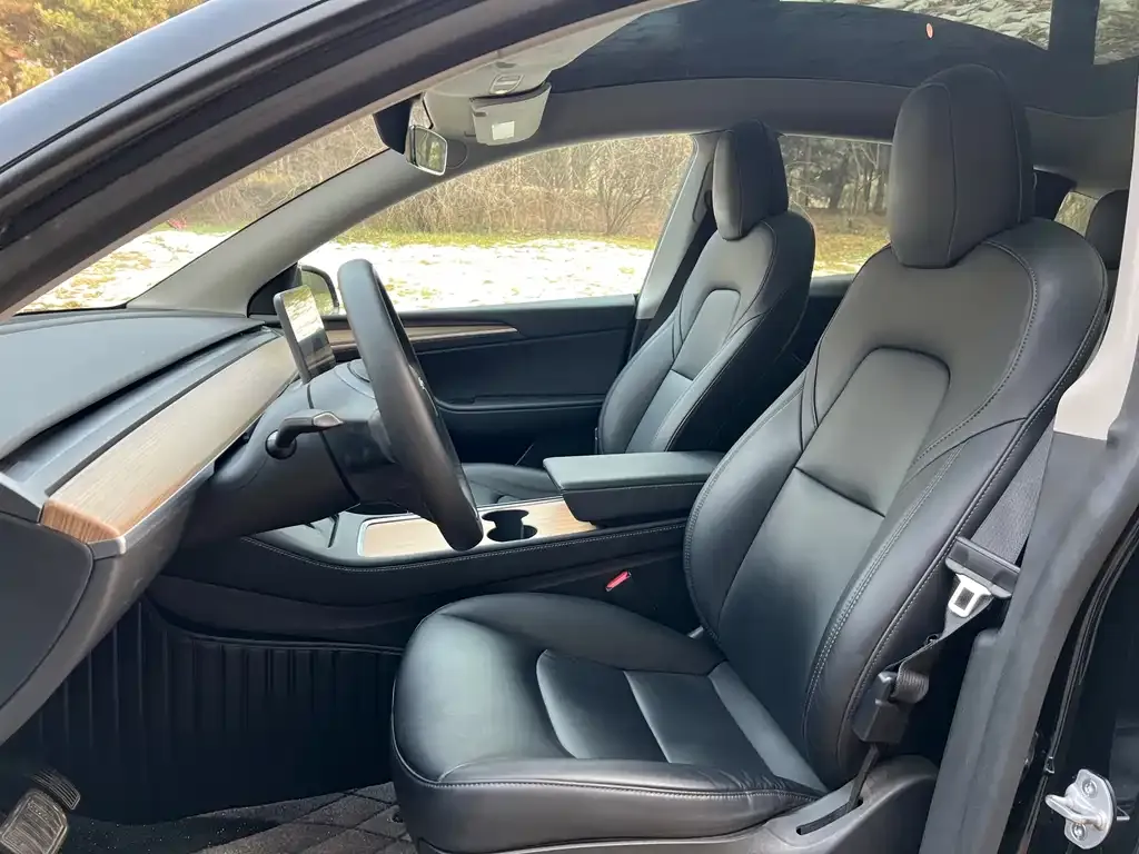 Tesla Model Y — фото 2