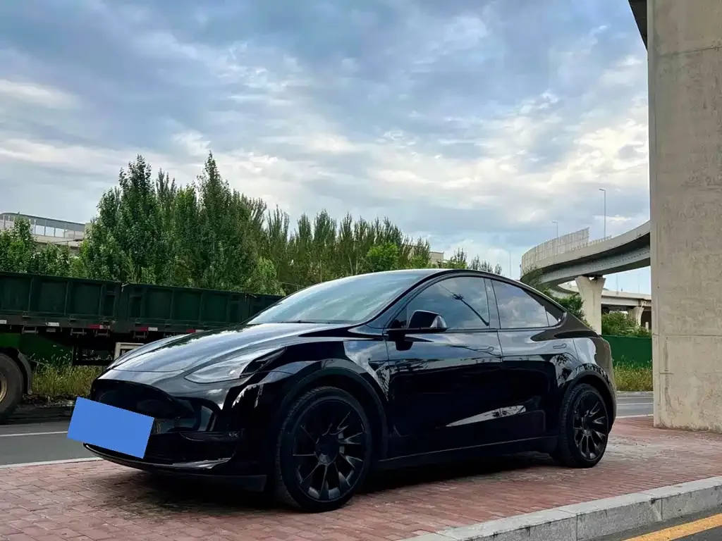 Tesla Model Y — фото 1