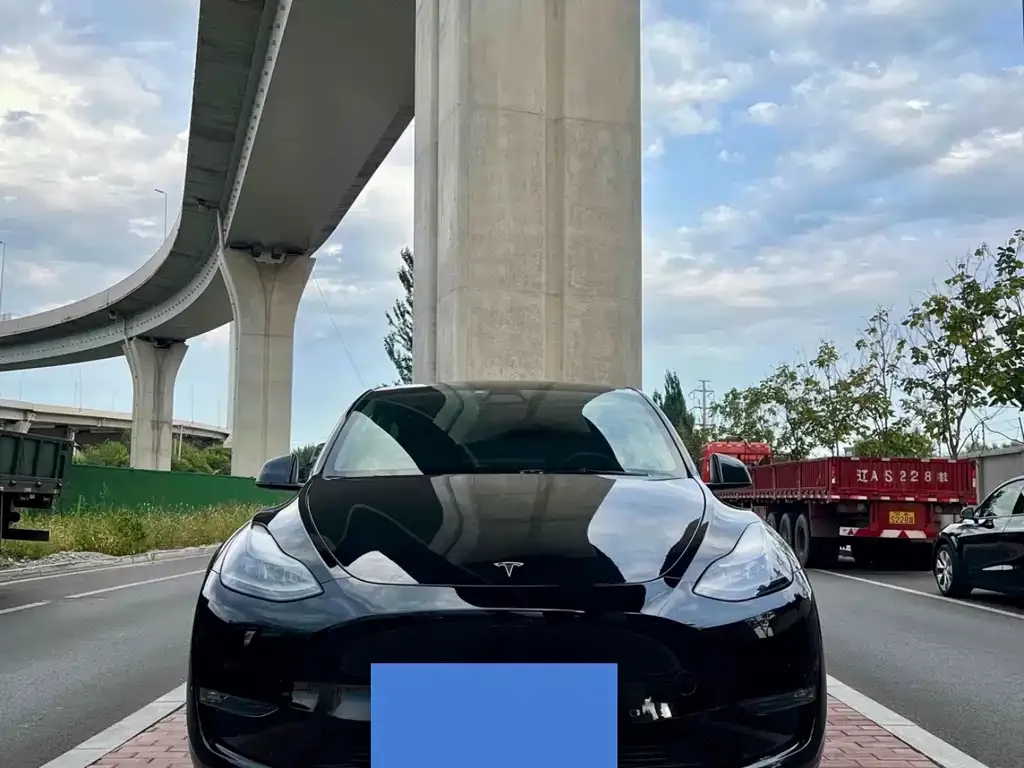 Tesla Model Y — фото 7