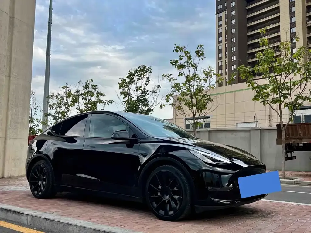 Tesla Model Y — фото 6