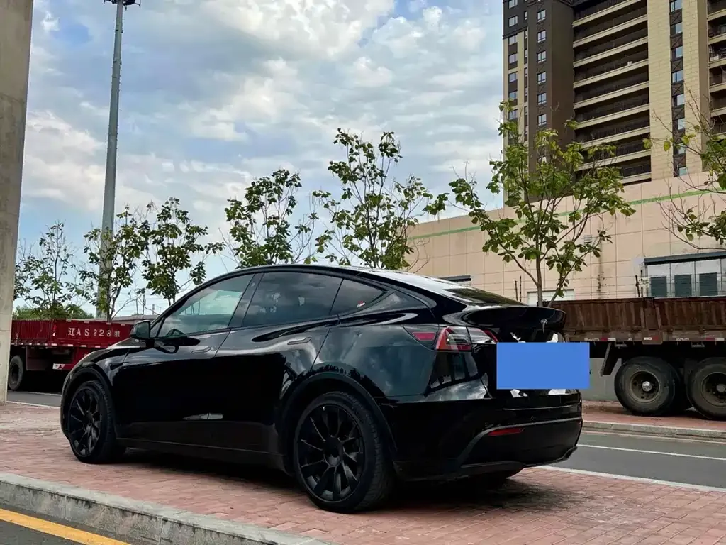 Tesla Model Y — фото 8