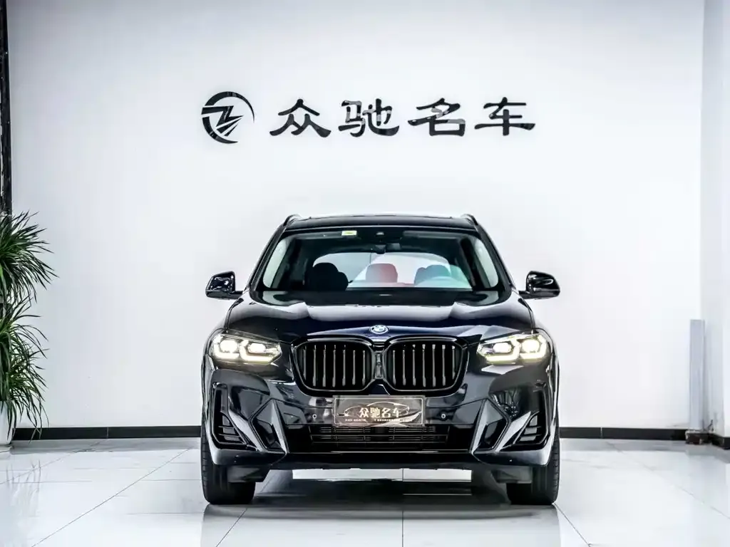 BMW X3 2022 из CN, фото 6