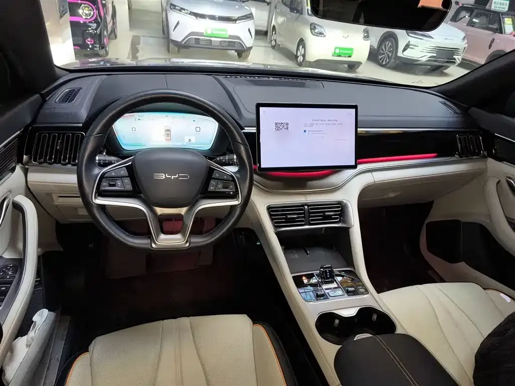 BYD PLUS New Energy 2024 из CN, фото 10