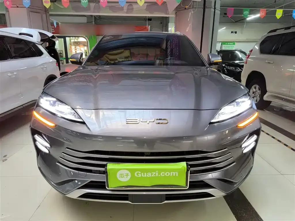 BYD PLUS New Energy 2024 из CN, фото 2