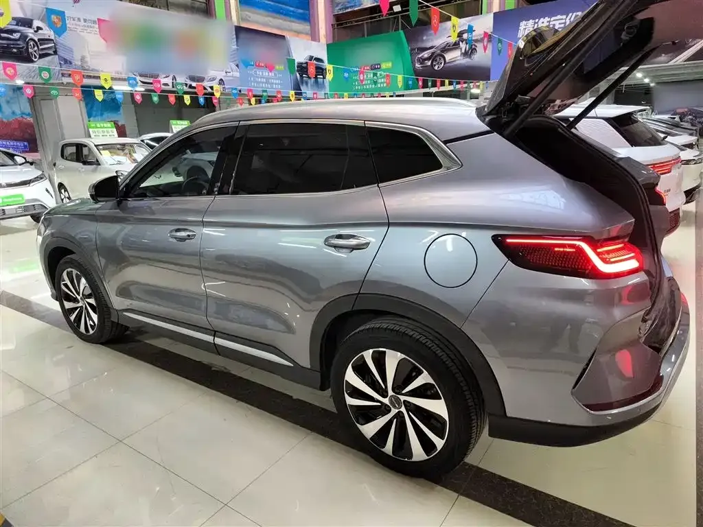 BYD PLUS New Energy 2024 из CN, фото 4