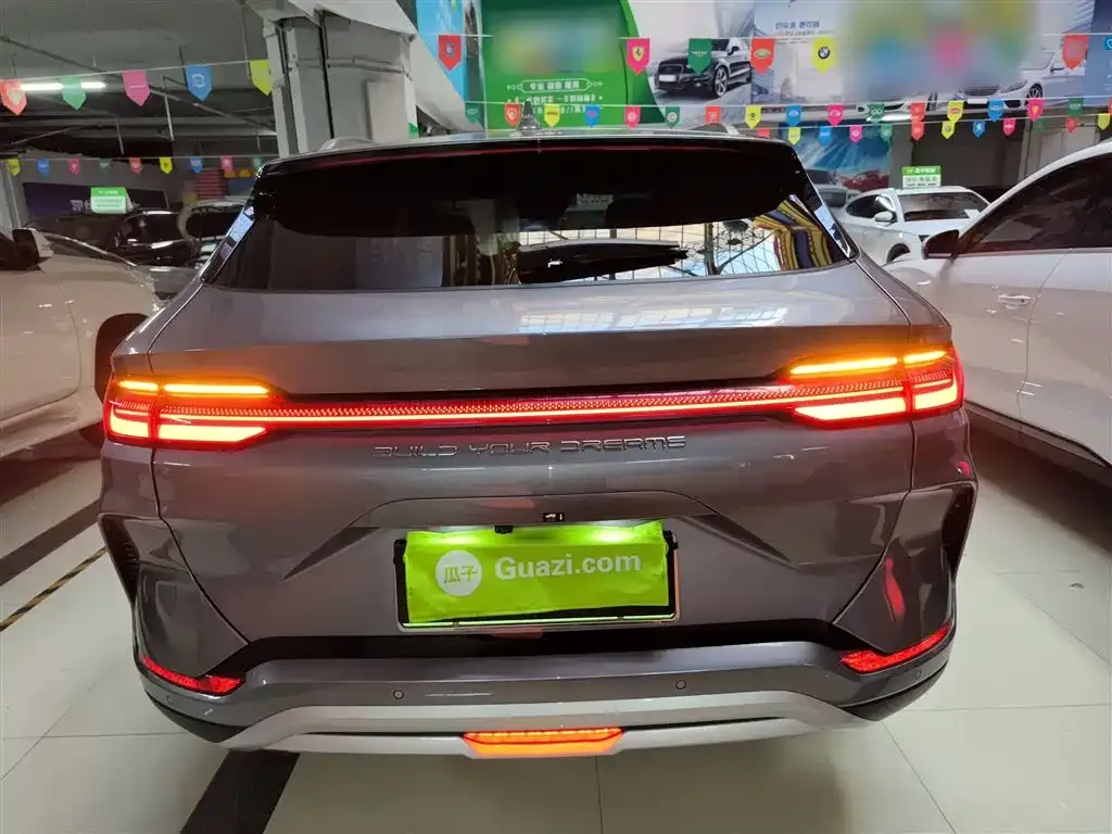 BYD PLUS New Energy 2024 из CN, фото 6