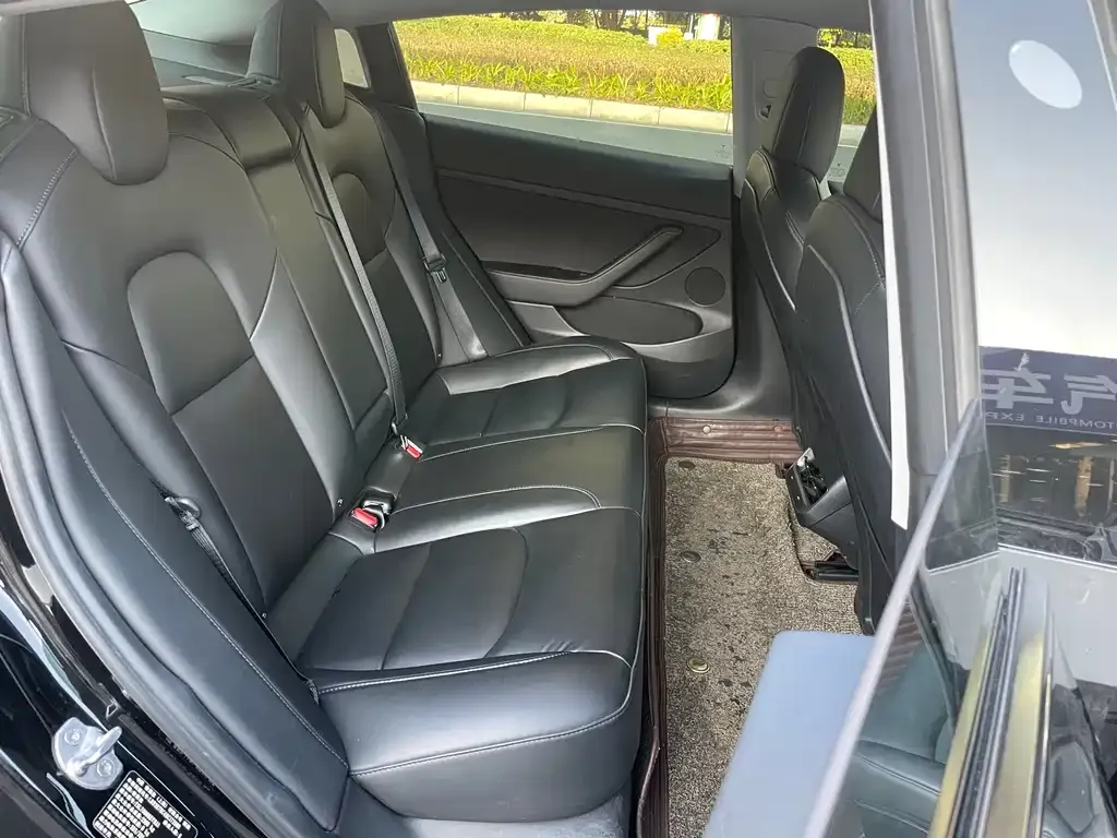 Tesla Model 3 2021 из CN, фото 8