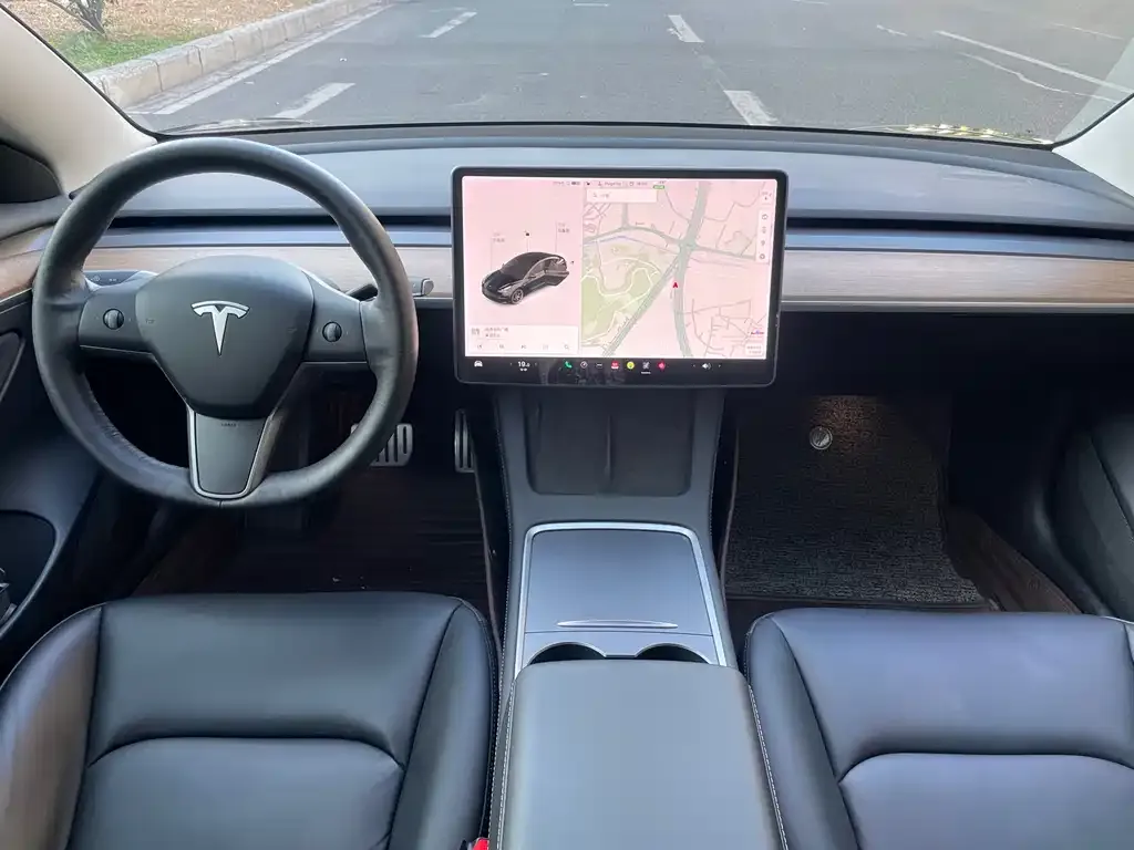 Tesla Model 3 2021 из CN, фото 6