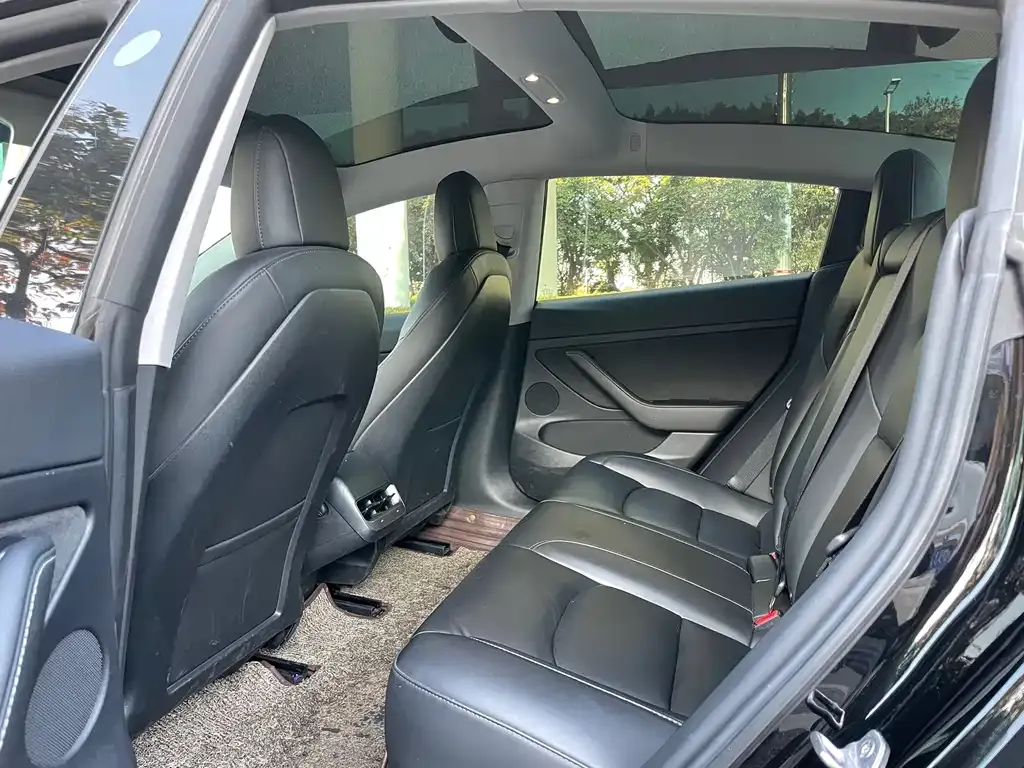 Tesla Model 3 2021 из CN, фото 3