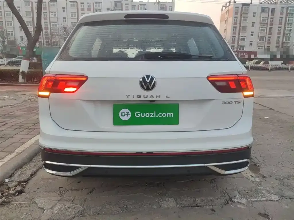 Volkswagen Tiguan L 2023 из CN, фото 4