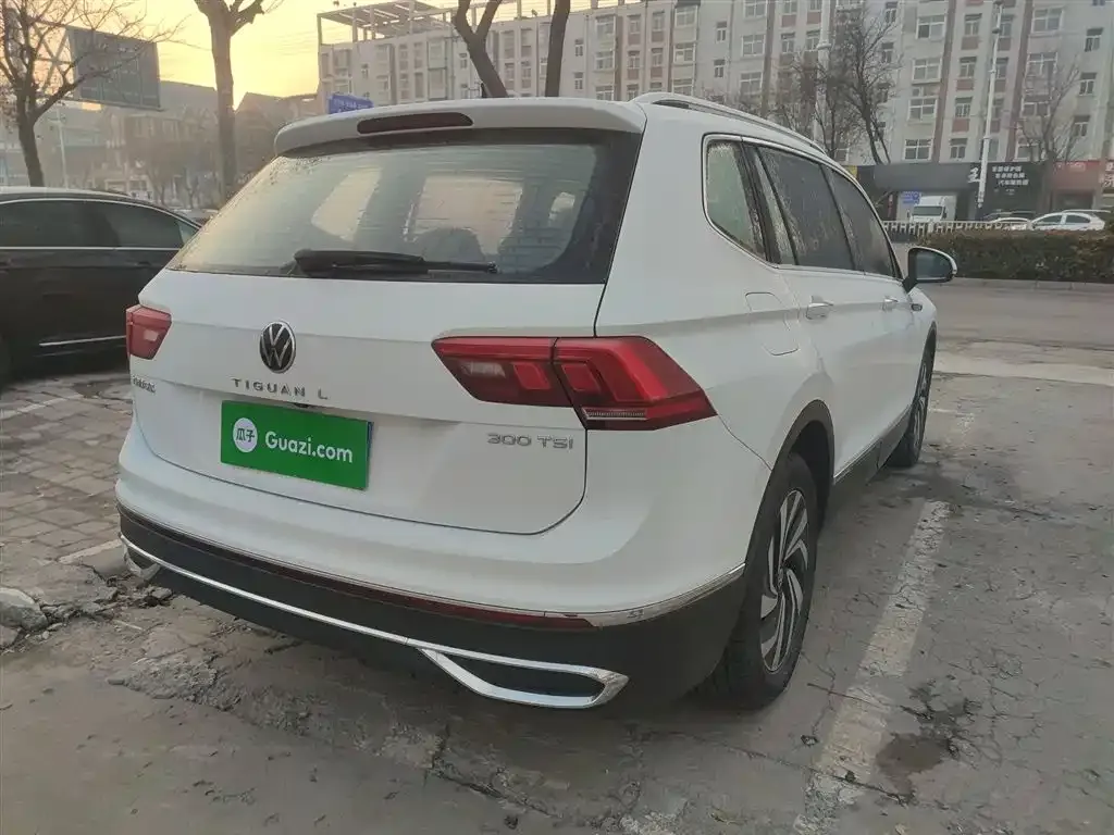Volkswagen Tiguan L 2023 из CN, фото 7