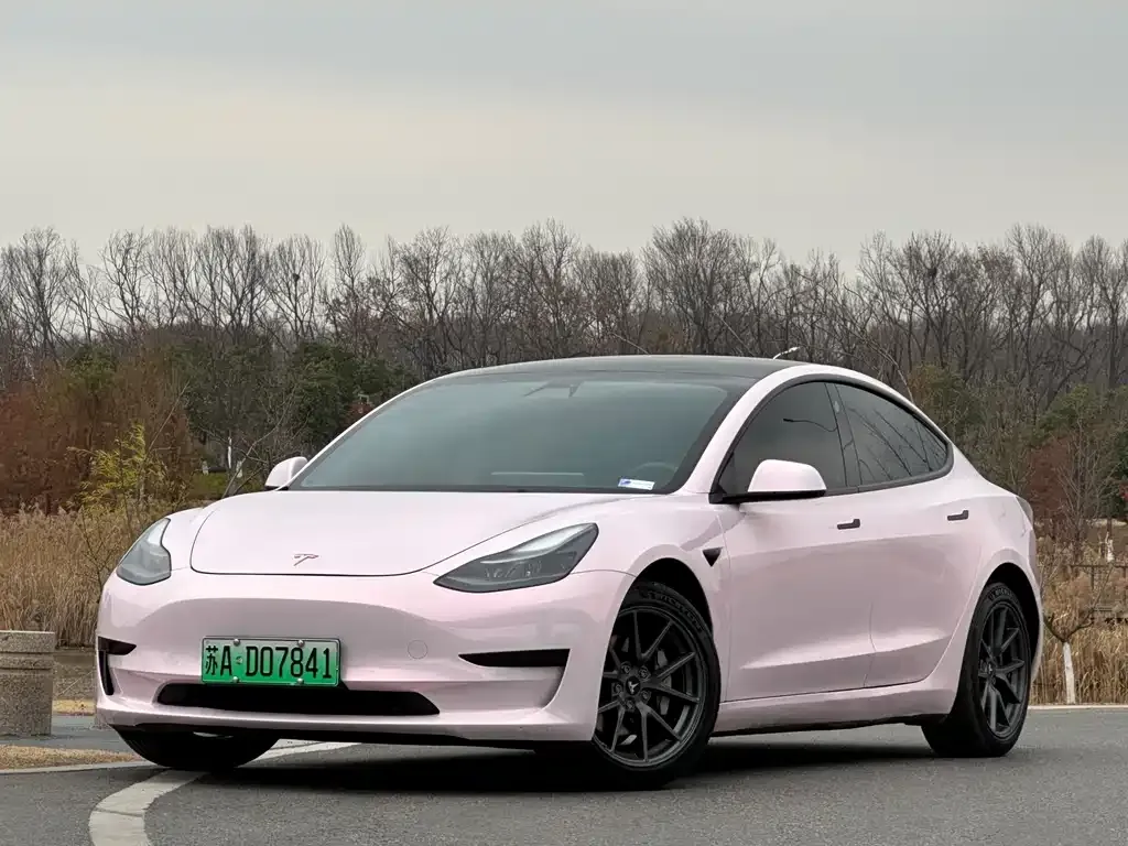 Tesla Model 3 2021 из CN, фото 1