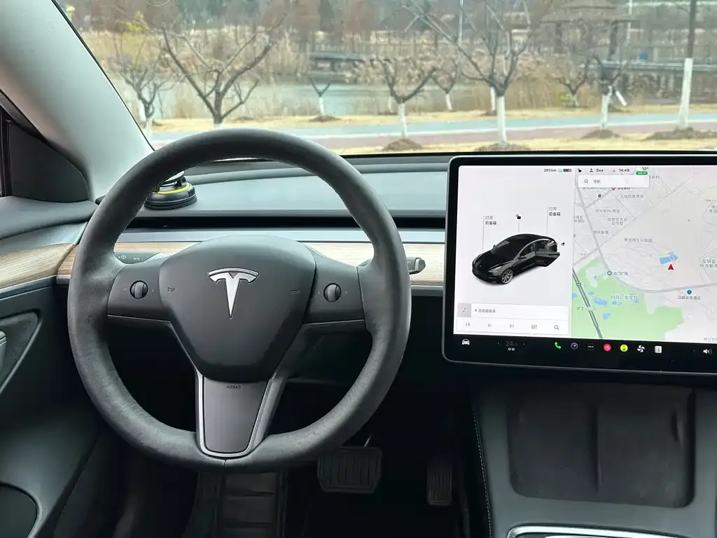 Tesla Model 3 2021 из CN, фото 8