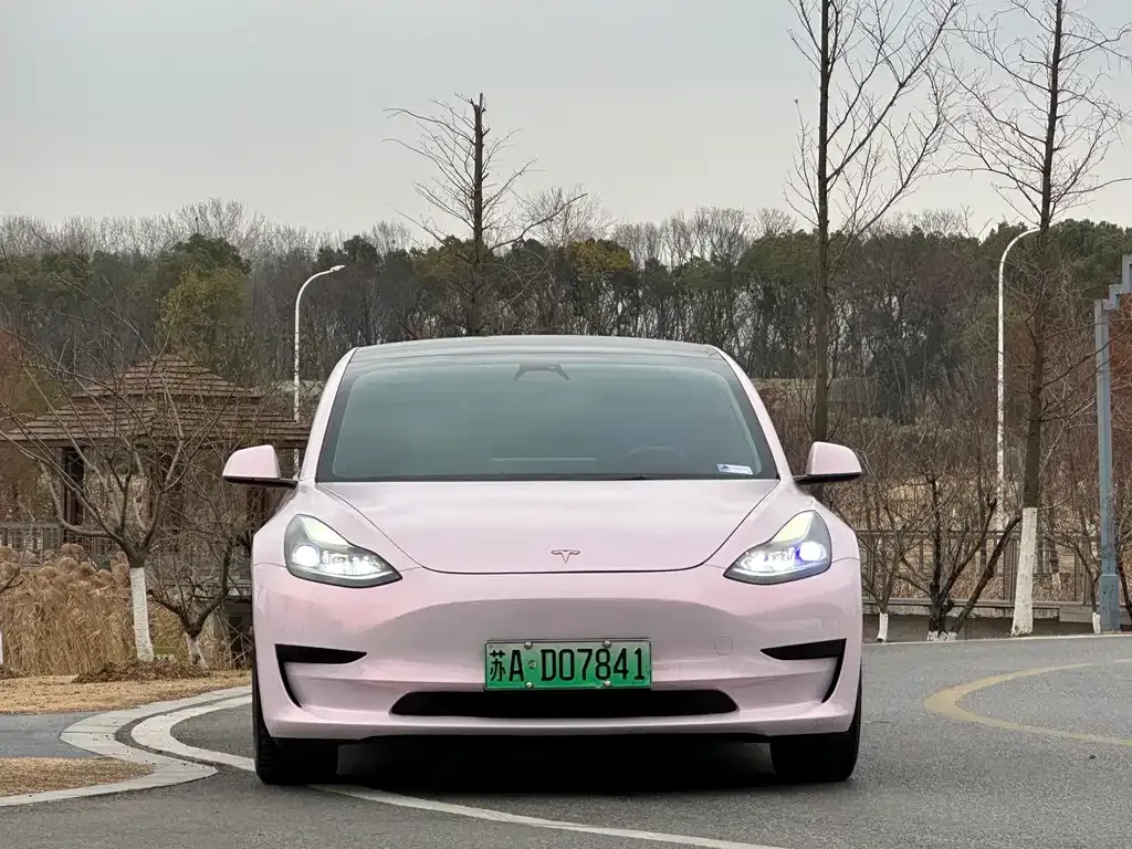 Tesla Model 3 2021 из CN, фото 7