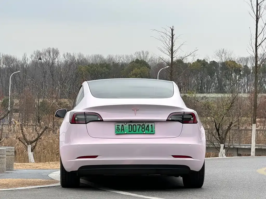 Tesla Model 3 2021 из CN, фото 10