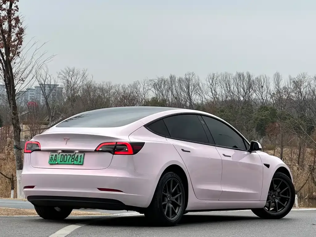 Tesla Model 3 2021 из CN, фото 5
