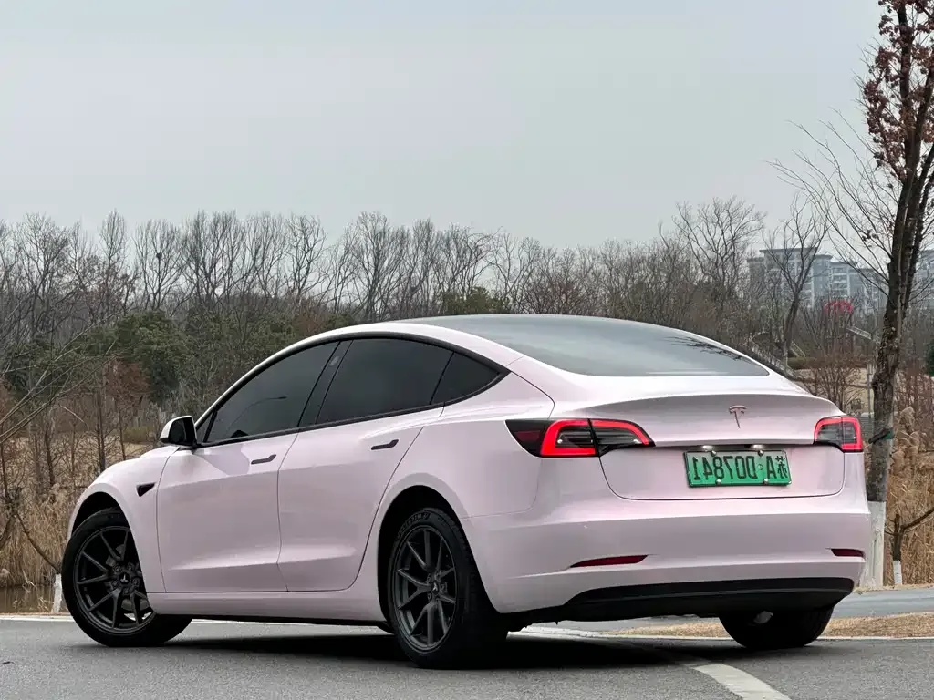 Tesla Model 3 2021 из CN, фото 3