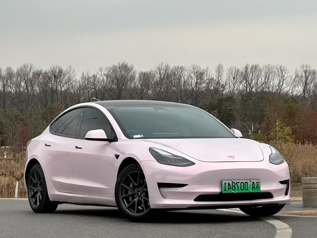 Tesla Model 3 2021 из CN, фото 4