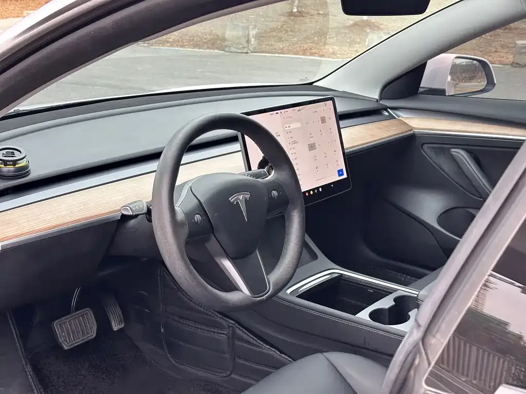 Tesla Model 3 2021 из CN, фото 6