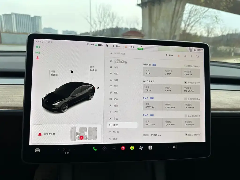 Tesla Model 3 2021 из CN, фото 2