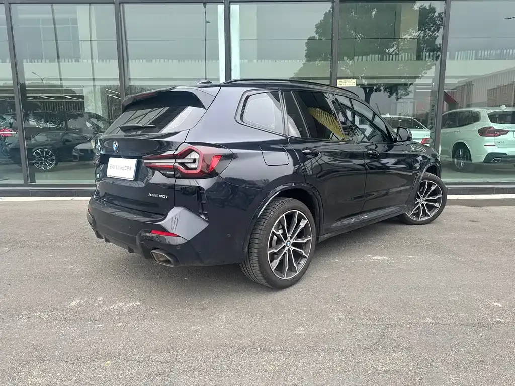 BMW X3 2024 из CN, фото 10