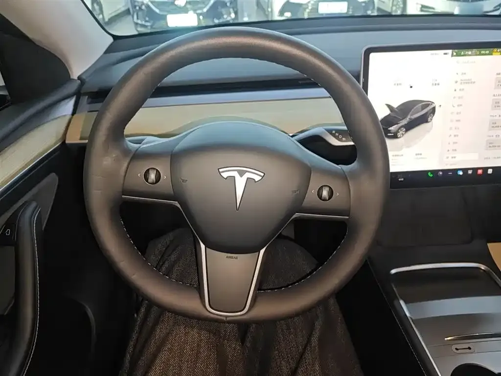 Tesla Model Y 2023 из CN, фото 7