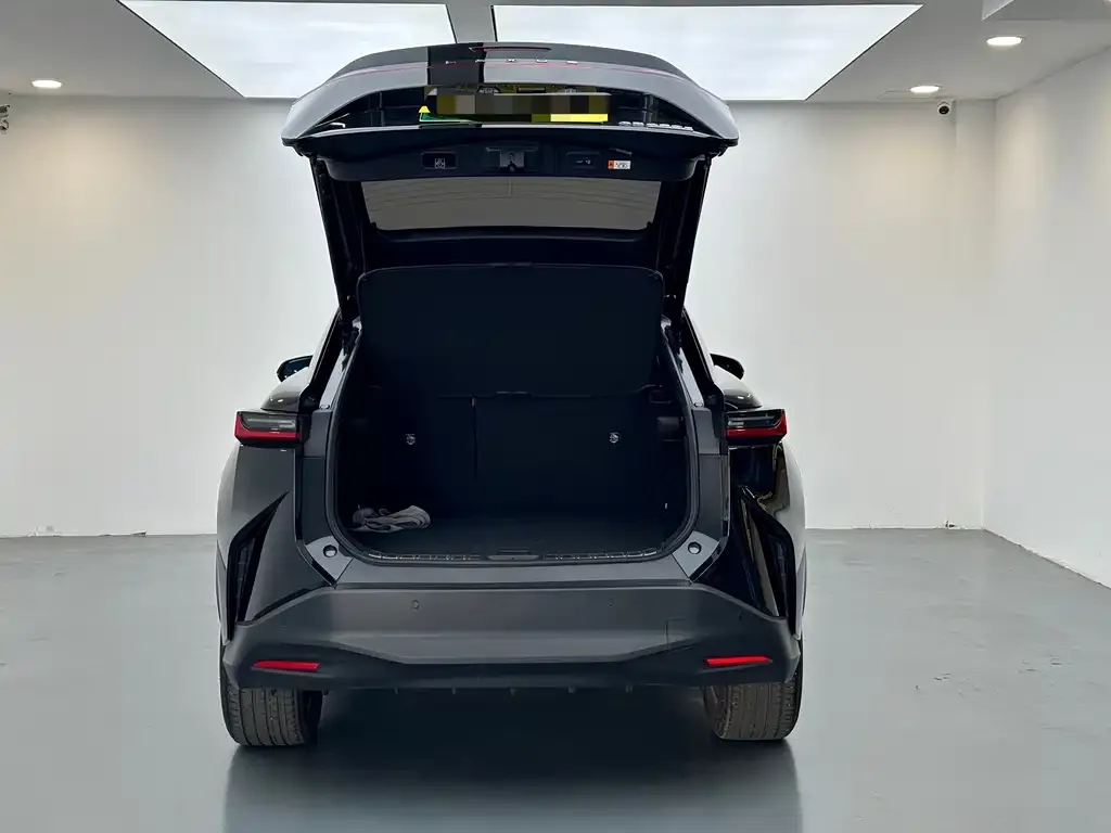 Lexus RZ 2024 из CN, фото 6