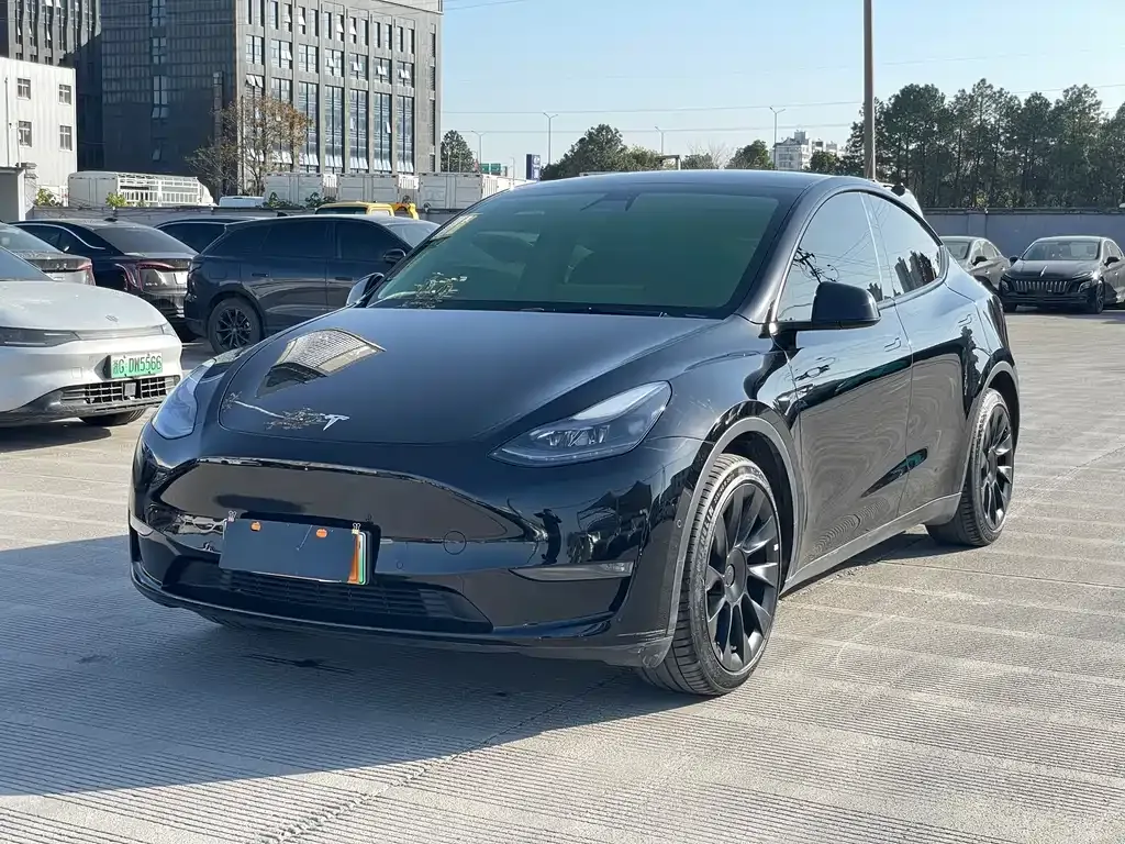 Tesla Model Y 2021 из CN, фото 1