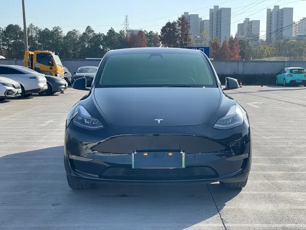 Tesla Model Y 2021 из CN, фото 2